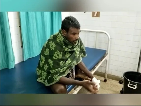 ବାରହା ଶିକାର ପାଇଁ ବିଛାଇଥିଲେ ତାର, ହେଲେ ଚାଲିଗଲା ଦୁଇ ନାବାଳକଙ୍କ ଜୀବନ ।