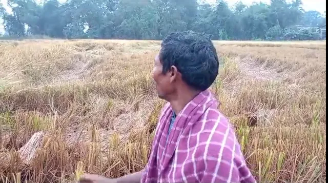 ରାଜ୍ୟରେ ଚାଷୀଙ୍କ ଦୁର୍ଦ୍ଦଶା ବଢାଇଲା ଅଦିନିଆ ବର୍ଷା । ସୁନ୍ଦରଗଡରେ ସବୁ ସରକାରୀ, ବେସରକାରୀ ସ୍କୁଲ ବନ୍ଦ । କୋରାପୁଟରେ ଧସିଲା ପାହାଡ ।