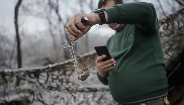 ଯୁଦ୍ଧକ୍ଷେତ୍ରରେ ରୁଷ ସୈନିକମାନେ '’ମାଉସ୍ ଫିଭର୍’ରେ ଆକ୍ରାନ୍ତ ।  ଆଖିରୁ ଧାର ଧାର ବୋହୁଛି ରକ୍ତ । କେମିତି ଲଢିବେ ଯୁଦ୍ଧ ?