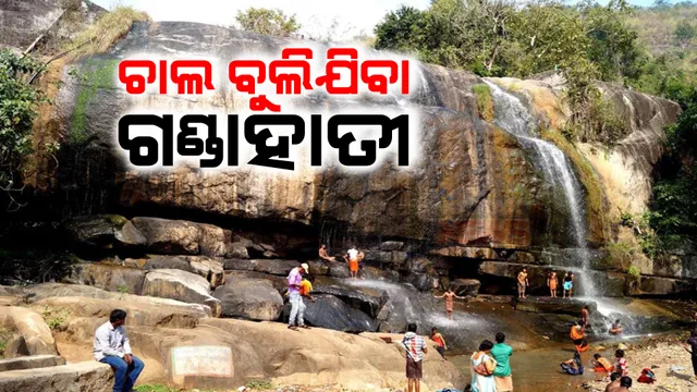 ମନମୋହୁଛି ଗଣ୍ଡା ହାତୀ ଜଳପ୍ରପାତ । ସବୁଜିମା ଘେରା ଏହି ପର୍ଯ୍ୟଟନସ୍ଥକୁ ଛୁଟୁଛି ପର୍ଯ୍ୟଟକଙ୍କ ସୁଅ ।