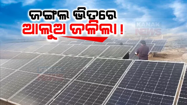 ସାକାର ହେଲା ଶିମିଳିପାଳ ଅଭୟାରଣ୍ୟ ଭିତରେ ରହୁଥିବା ଅଧିବାସୀଙ୍କ ସ୍ୱପ୍ନ । ଦୀର୍ଘ ଦିନ ପରେ ଲୋକଙ୍କ ଘରେ ଜଳିଲା ବିଜୁଳି ଆଲୁଅ