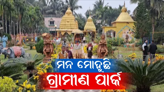 କେନ୍ଦ୍ରାପଡା ଧାନମଣ୍ଡଳ ଗାଁରେ ମନମୋହୁଛି ଗ୍ରାମୀଣ ପାର୍କ । ଜିଲ୍ଲା ତଥା ଜିଲ୍ଲା ବାହାରୁ ଆସୁଛନ୍ତି ପର୍ଯ୍ୟଟକ