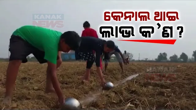 କେନାଲ ଅଛି, ହେଲେ ପାଣି ନାହିଁ । ପଡ଼ିଆ ପଡ଼ିଛି ଡେଲାଙ୍ଗ ବ୍ଲକର ହେକ୍ଟର ହେକ୍ଟର ଚାଷ ଜମି