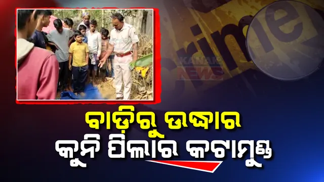ବାଡିରେ ପଡିଛି କୁନି ପିଲାର କଟା ମୁଣ୍ଡ । ଯାଜପୁର ରାଧାନଗର ଗାଁରେ ଚାଂଚଲ୍ୟ,  ବଳି ଉଦ୍ଦେଶ୍ୟରେ କେହି ହତ୍ୟା କରିଥିବା ସନ୍ଦେହ