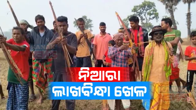 ଆଦିବାସୀ ମୂଲକର ନିଆରା ଖେଳ । ବାଲେଶ୍ୱର ନୀଳଗିରି ଗୁଡିଖାଣିଆ ଗାଁରେ ଲାଖବିନ୍ଧା ପ୍ରତିଯୋଗିତା