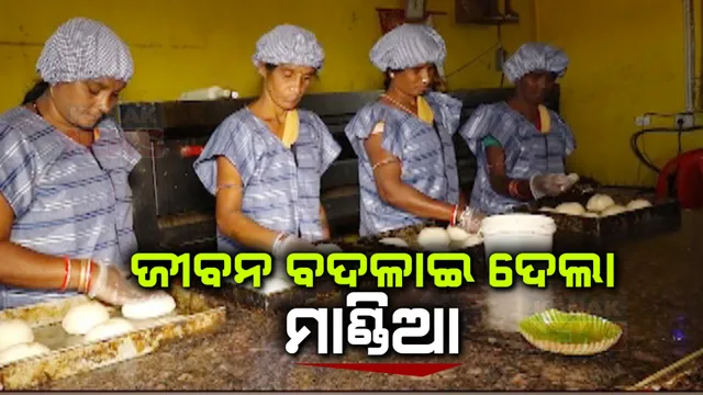 ମାଣ୍ଡିଆ କରୁଛି ସ୍ୱାବଲମ୍ବୀ । ଗ୍ରାହକଙ୍କୁ ପସନ୍ଦ ଆସୁଛି ମାଣ୍ଡିଆରେ ତିଆରି କେକ୍, ପାଉଁରୁଟି, ସୁବର୍ଣ୍ଣପୁରରେ ମହିଳାଙ୍କୁ ଦେଉଛି ଭଲ ରୋଜଗାର