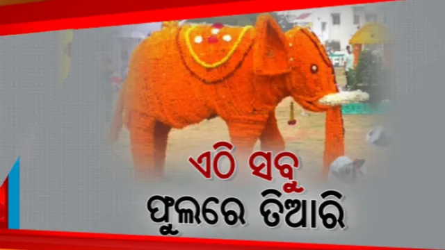 ପାରାଦୀପର ତୈଳ ବିଶୋଧନାଗାରରେ ଫୁଲର ସମ୍ଭାର । ଦେଖଣାହାରୀଙ୍କ ମନ ମୋହୁଛି ଫୁଲରେ ସଜ୍ଜିତ କଳସ, ଡଙ୍ଗା, ହାତୀ ଓ ନର୍ତ୍ତକୀ