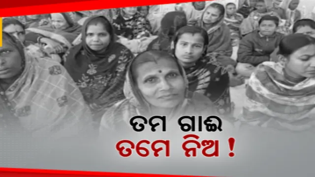 ମହିଳାଙ୍କୁ ସ୍ୱାବଲମ୍ବୀ କରିବା ନାଁରେ ଅସାଧୁ କର୍ମଚାରୀଙ୍କ ଶୋଷଣ । ରୁଗଣ୍ ଗାଈ ଦେଇ ଠକିଥିବା ଅଭିଯୋଗ 