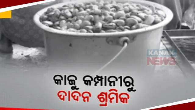 ପାଣିରେ ପଡିଲା ସରକାରୀ ସ୍ୱପ୍ନ । ଆନ୍ଧ୍ର ଯାଉଛନ୍ତି ବଣ୍ଡା ମଣିଷ