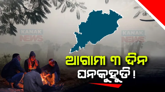 ରାଜ୍ୟର ବିଭିନ୍ନ ଜିଲ୍ଲାରେ ଜାରି ରହିବ ଘନକୁହୁଡି । ପ୍ରଭାବିତ ଜିଲ୍ଲାର ଜିଲ୍ଲାପାଳଙ୍କୁ ସତର୍କ କରାଇଲେ ଏସଆରସି, ଆସନ୍ତା ୩ ଦିନ ପାଇଁ ୟଲୋ ୱାର୍ଣ୍ଣିଂ