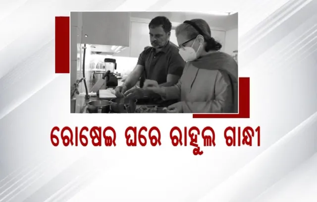 ମା’ଙ୍କ ସୋନିଆଙ୍କ ସହ ଏକାଠି ମିଶି ସୁଆଦିଆ ବ୍ୟଞ୍ଜନ ପ୍ରସ୍ତୁତ କଲେ କଂଗ୍ରେସ ସାଂସଦ । ଫଳବଗିଚାରୁ ତାଜା ଫଳ ତୋଳି ଜାମ ତିଆରି କଲେ ରାହୁଲ ଗାନ୍ଧୀ