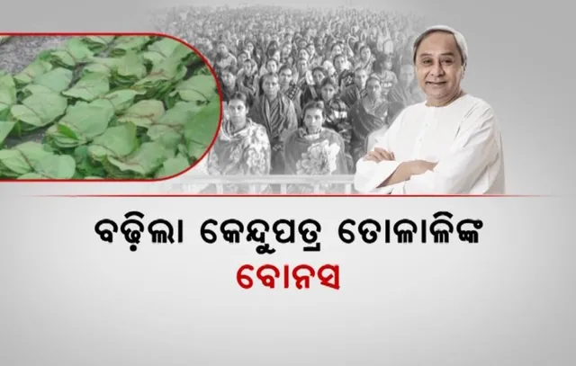 କେନ୍ଦୁପତ୍ର ତୋଳାଳି ଓ କର୍ମଚାରୀଙ୍କ ପାଇଁ ଖୁସି ଖବର । ୨୦୦ କୋଟିର ପ୍ୟାକେଜ୍ ଘୋଷଣା କଲେ ମୁଖ୍ୟମନ୍ତ୍ରୀ, ବୋନସ ୨୫ରୁ ୫୦ ପ୍ରତିଶତକୁ ବୃଦ୍ଧି