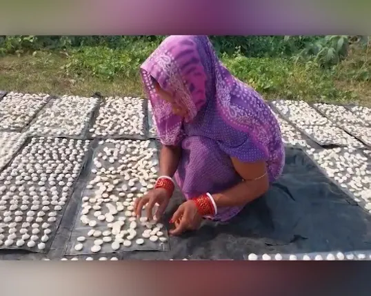 ବିରି ବଡ଼ିରୁ ଭଲ ରୋଜଗାର । ପିପିଲି ରଇତପାଟଣା ଗାଁ ମହିଳାମାନେ ବଡି ପ୍ରସ୍ତୁତ କରି ହୋଇଛନ୍ତି ସ୍ୱାବଲମ୍ବୀ