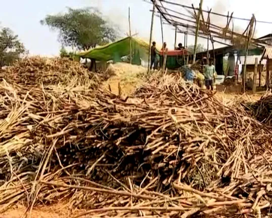 ଆଧୁନିକ ପ୍ରଣାଳୀରେ ଆଖୁଚାଷ କରି ଚର୍ଚ୍ଚାରେ କୋଟପାଡର ସନ୍ତୋଷ । ଗୁଡ ପ୍ରସ୍ତୁତ କରି କରୁଛନ୍ତି ବିକ୍ରି