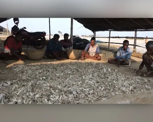 ଓଡ଼ିଶାର ବଡ ଶୁଖୁଆ ହାଟ । ଶୁଖୁଆ ବିକିଲେ ପୁରୁଛି ପେଟ