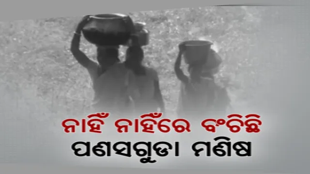 ମୌଳିକ ସୁବିଧାରୁ ବଂଚିତ ପଣସଗୁଡା ଗ୍ରାମବାସୀ । ରାସ୍ତା ନଥିବା ବେଳେ ବିପର୍ଯ୍ୟସ୍ତ ହୋଇପଡିଛି ଶିକ୍ଷାସ୍ୱାସ୍ଥ୍ୟ, ମିଳୁନି ପିଇବା ପାଣି