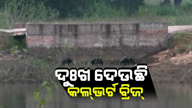 ବିପଦସଂକୁଳ ଅବସ୍ଥାରେ କଲଭର୍ଟ ବ୍ରିଜ । କେଉଁଠି ଫାଟିଛି ତ କେଉଁଠି ଦବିଛି, ଗମାନ ଗମନକୁ ନେଇ ଅସୁବିଧା ଭୋଗୁଛନ୍ତି ବାଲିମାଲ ଗ୍ରାମବାସୀ