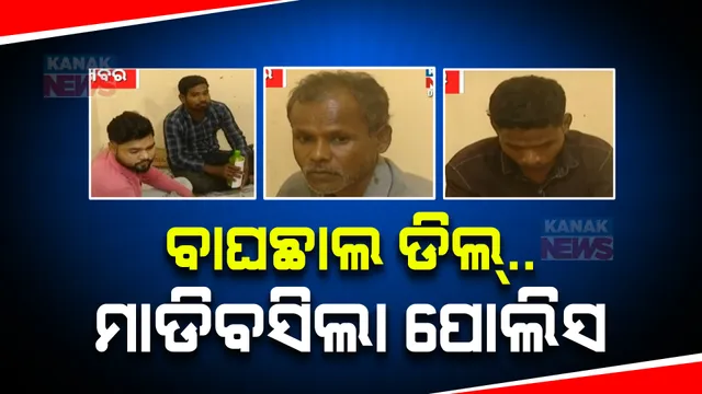 କଟକରୁ ବାଘ ଛାଲ ଜବତ ଘଟଣାରେ ୭ ଗିରଫ । ୬ ଅଭିଯୁକ୍ତ ଏବେ ବି ଫେରାର ।