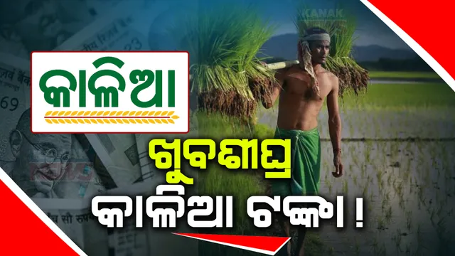 ଖୁବଶୀଘ୍ର ଆସିବ କାଳିଆ ଟଙ୍କା: ନିର୍ବାଚନ ପୂର୍ବରୁ ଆକାଉଂଟକୁ ଯିବ କାଳିଆ କିସ୍ତି! ବଦଳିଲା ‘କାଳିଆ’ ଯୋଜନା ନିୟମ