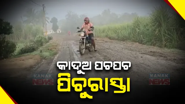 ପିଚୁ ରାସ୍ତାରେ ଆଣ୍ଠୁଏ କାଦୁଅ । ୩ କିଲୋମିଟର କାଦୁଅ ପଚପଚ ରାସ୍ତାରେ ଗମନାଗମନ ପାଇଁ ନାହିଁ ନଥିବା ଅସୁବିଧା