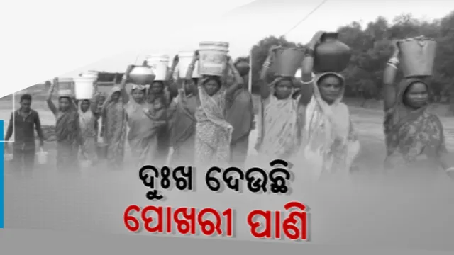 ଚିଲିକା କୂଳରେ ପିଇବାପାଣି ଚିନ୍ତା । ପୋଖରୀରୁ ଦୂଷିତ ପାଣି ପିଉଛନ୍ତି ଭେଟିବାଉରୀପଲ୍ଲି ଲୋକ, ଅଭିଯୋଗ ପରେ ବି ୧୫ ବର୍ଷ ହେଲା ସମାଧାନ ଶୂୂନ୍