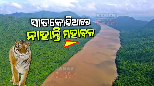 ସାତକୋଶିଆରେ ନାହାନ୍ତି ମହାବାଳ, ଶିମିଳିପାଳରେ ବୁଲୁଛନ୍ତି ୨୭ ମହାବଳ । ଏଣିକି ପ୍ରତିବର୍ଷ ହେବ ବାଘଗଣନା, ସୂଚନା ଦେଲେ ପିସିସିଏଫ୍ ।