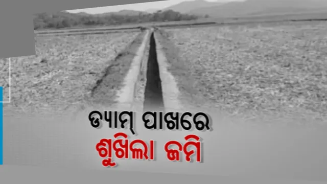 ଜମିରେ ମାଡୁନି ପାଣି । ବିଭାଗୀୟ ଅଧିକାରୀଙ୍କ ମନମାନି ଯୋଗୁ ଚିନ୍ତାରେ ପଡିଛନ୍ତି ବରିପୁଣ ପଚାଂୟତର ଚାଷୀ