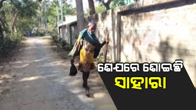 ରୋଗଶଯ୍ୟାରେ ଘରର ରୋଜଗାରିଆ ପୁଅ । ୭୬ ବର୍ଷୀୟ ବୁଢା ବାପାଙ୍କ କାନ୍ଧରେ ପରିବାର ବୋଝ । ଗାଁ ଗାଁ ବୁଲି ବରକୋଳି ବିକୁଛନ୍ତି ଅନନ୍ତ ମଲ୍ଲିକ