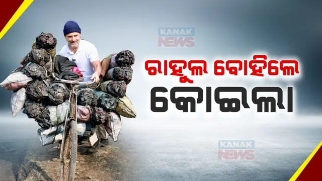 ଭାରତ ଯୋଡ଼ ନ୍ୟାୟ ଯାତ୍ରାରେ କୋଇଲା ବୋହିଲେ ରାହୁଲ: ୨ଶହ କିଲୋ ଲଦା ହୋଇଥିବା ସାଇକେଲ ବୋହିଲେ