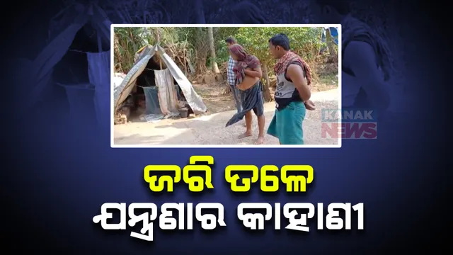 ପର କରିଦେଲେ ପରିବାର । କର୍କଟରେ ଆକ୍ରାନ୍ତ ବୃଦ୍ଧା କେଳୁଣୀଙ୍କ ସଂଘର୍ଷ, ରାସ୍ତାକଡ ଜରିପାଲ ଟଣା କୁଡିଆରେ ବିତୁଛି ଜୀବନ