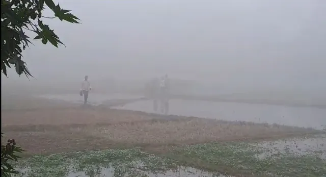 ରାଜ୍ୟର ବିଭିନ୍ନ ସ୍ଥାନରେ ଘନ କୁହୁଡି । ଦୃଶ୍ୟମାନ କମ ଥିବାରୁ ଯାତାୟତ ସେବା ପ୍ରଭାବିତ, ଉପକୂଳ ଓ ଆଭ୍ୟନ୍ତରୀଣ ଓଡିଶା ପାଇଁ ଜାରି ହୋଇଛି ଚେତାବନୀ