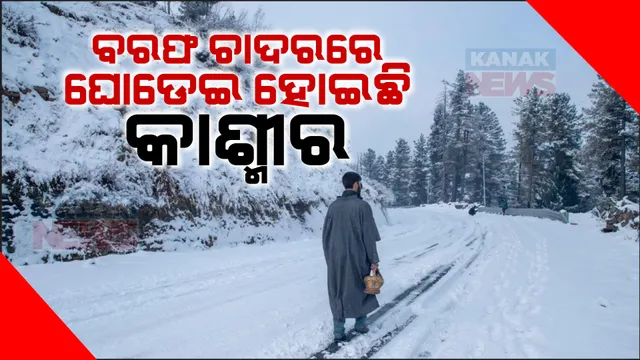 ମନ ମୋହୁଛି କାଶ୍ମୀରର ତୁଷାର ପାତ ।  ବଢୁଛି ପର୍ଯ୍ୟଟକଙ୍କ ଭିଡ