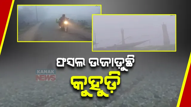 ରାଜ୍ୟର ବିଭିନ୍ନ ସ୍ଥାନରେ ଘନ କୁହୁଡି । ଚାରିଆଡ଼େ ଧୂଆଁ  ଧୂଆଁ  ପରିବେଶ, ଯାତାୟତ ବାଧାପ୍ରାପ୍ତ । ପନିପରିବା ଫସଲ ନଷ୍ଟ ଚିନ୍ତାରେ ଚାଷୀ ।