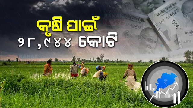 ରାଜ୍ୟ ବଜେଟରେ କୃଷି କ୍ଷେତ୍ରକୁ ଗୁରୁତ୍ୱ । ୨୮, ୯୪୪ କୋଟି ଟଙ୍କା ବ୍ୟୟ ବରାଦ କଲେ ଅର୍ଥମନ୍ତ୍ରୀ ।