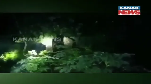 ଆସିକା ଧରାକୋଟ ଓ ସଡଙ୍ଗିପଲ୍ଲୀ ଅଞ୍ଚଳରେ ହାତୀ ଆତଙ୍କ । ଗାଁରେ ପଶି ଫସଲ ନଷ୍ଟ ସହ ଭାଙ୍ଗିଲେ ଘରଦ୍ୱାର । ଘଉଡାଇବାକୁ ବନବିଭାଗ ନୟାନ୍ତ ।