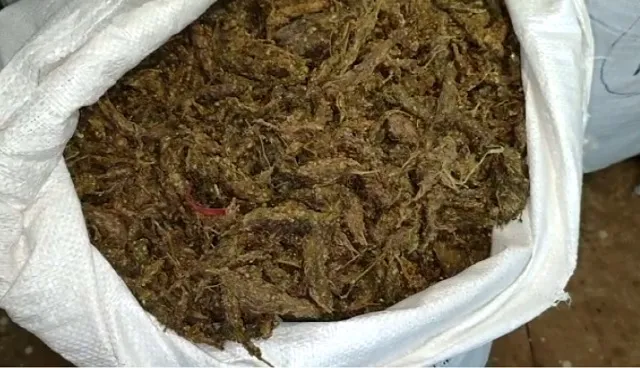 ତଡିପାର ହେବେ ନିଶା ବେପାରୀ । ନିଶା ବ୍ୟବସାୟୀଙ୍କୁ ଚେତାବନୀ ଦେଲା ଅବକାରୀ ବିଭାଗ ।