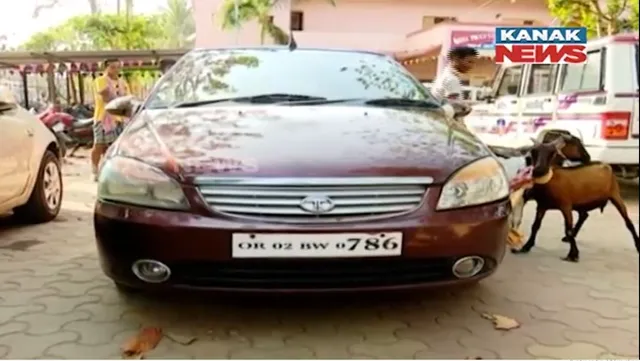 କାରରେ ଚୋରେଇ ନେଉଥିଲେ ଛେଳି । ୪ ଚୋରଙ୍କୁ ଧରି ପୋଲିସ ଜିମା ଦେଲେ ସ୍ଥାନୀୟ ଲୋକେ ।