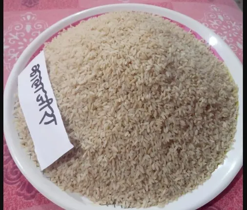 ଶାବର ଶ୍ରୀକ୍ଷେତ୍ରରୁ ଶ୍ରୀମନ୍ଦିର ଆସୁଛି କଳାଜିରା ଚାଉଳ । ପ୍ରସ୍ତୁତ ହେବ ମହାପ୍ରଭୁଙ୍କ ମହାପ୍ରସାଦ ।