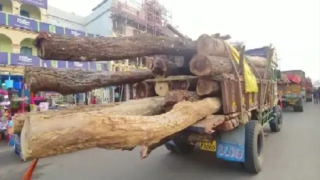 ପବିତ୍ର ଶ୍ରୀପଞ୍ଚିମୀରେ ଆଜି ହେବ ରଥକାଠ ଅନୁକୂଳ । ତିନି ରଥ ପାଇଁ ତିନୋଟି ୧୨ ଫୁଟିଆ ଧଉରା କାଠକୁ କରାଯିବ ପୂଜାର୍ଚ୍ଚନା ।