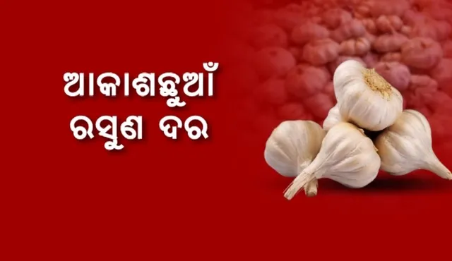 ଆକାଶଛୁଆଁ ରସୁଣ ଦର: କେଜି ପ୍ରତି ଦର ଛୁଇଁଲା ୪ଶହ ଟଙ୍କା