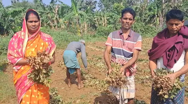 ସ୍ୱାଭାବିକ ହେଲା ପାଣିପାଗ । ତାତି ବଢିବ ୮ରୁ ୧୦ ଡିଗ୍ରୀ !