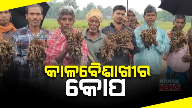 ରାଜ୍ୟର ବିଭିନ୍ନ ଜିଲ୍ଲାରେ କାଳବୈଶାଖୀର କୋପ । ଫସଲ ଉଜାଡ଼ିଦେଲା ଅଦିନିଆ ବର୍ଷା