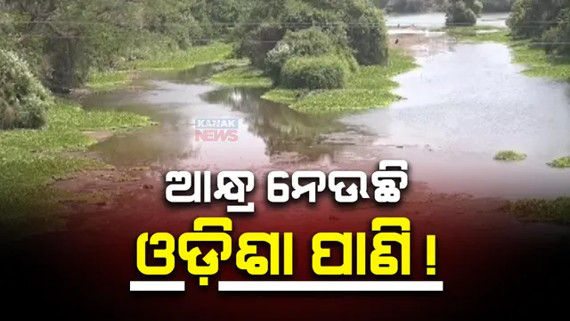 ପୁଣି ଆନ୍ଧ୍ରର ଦାଦାଗିରି । ବନ୍ଧ ନିର୍ମାଣ କରି ଅଟକାଉଛି ଜଳ । ଶୁଖିଲା ପଡ଼ିଛି ଓଡିଶାର ଅନେକ ଅଞ୍ଚଳ । କୂତ୍ରିମ ମରୁଡ଼ି ଆଶଙ୍କା ।