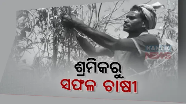 ସୁନ୍ଦରଗଡ ଟାଙ୍ଗରପାଲି ବ୍ଲକ ତୁରୁଙ୍ଗାଗଡର ଚାଷୀ ଅନନ୍ତ ମାଝୀଙ୍କ ସଂଘର୍ଷର କାହାଣୀ । ନିଜ ପରିଶ୍ରମରେ ସକ୍ଷମ ହେବା ସହ ଅନ୍ୟକୁ ଦେଉଛନ୍ତି ରୋଜଗାର