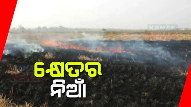 କୁହୁଡିର ଭ୍ରମ ସୃଷ୍ଟି କଲା ଚାଷ ଜମିରେ ଲାଗିଥି ବା ନିଆଁ । ଅସ୍ତରଙ୍ଗ, କାକଟପୁରରୁ ଆସିଲା ଚିତ୍ର, ନିଶ୍ୱାସ-ପ୍ରଶ୍ୱାସ ସହ ଚର୍ମଜନିତ ସମସ୍ୟା