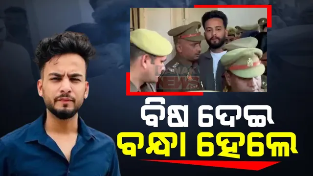 ଲୋକପ୍ରିୟ ୟୁଟ୍ୟୁବରଙ୍କ ହାତରେ ହାତକଡ଼ି: ରେଭ ପାର୍ଟିରେ ସାପ ଓ ସାପ ବିଷ ଯୋଗାଉଥିବା ଅଭିଯୋଗରେ ଏଲଭିସ ଯାଦବ ଗିରଫ