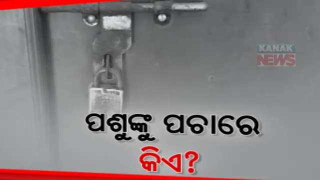 ପ୍ରାଣୀ ସ୍ୱାସ୍ଥ୍ୟ କେନ୍ଦ୍ରରେ ଝୁଲୁଛି ତାଲା । ନାହାନ୍ତି ପଶୁ ଡାକ୍ତର, ଖତ ଖାଉଛି ଉପକରଣ । ପିପିଲିରୁ ଆସିଲା ଚିନ୍ତାଜନକ ଦୃଶ୍ୟ