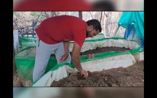 ବି-ଟେକ୍ ଇଞ୍ଜିନିୟରରୁ ସଫଳ ଚାଷୀ । ସୂର୍ଯ୍ୟମୁଖୀ, ପନିପରିବା ଓ ଜିଆଖତ ଚାଷ କରୁଛନ୍ତି ଭଂଜନଗର ଡ଼ାଙ୍ଗୁଆପଲ୍ଲୀ ଗାଁର ଜିତେନ୍ଦ୍ର ରାଉତ