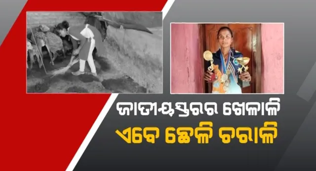 ଦିନେ ଥିଲେ ଜାତୀୟ ସ୍ତରର କ୍ରିକେଟ୍ ଖେଳାଳି । ହେଲେ ଏବେ ଛେଳି ଚରାଉଛନ୍ତି ଭାଗ୍ୟବତୀ ।