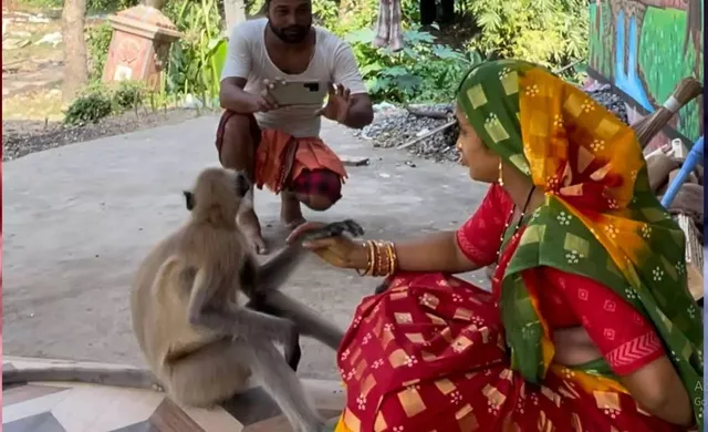 ୟୁଟ୍ୟୁବର ମୋନାଲିସା ଭଦ୍ରଙ୍କୁ ଗିରଫ ଡର । ବନ୍ୟଜନ୍ତୁଙ୍କ ସହ ଫୋଟୋ, ଭିଡିଓ ସେୟାର କରିବା ପଡିଲା ମହଙ୍ଗା  ।